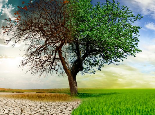 Soru 9: Türkiye su kaynakları açısından zengindir ve hidroelektrik enerji potansiyeli fazladır. Doğru mu?